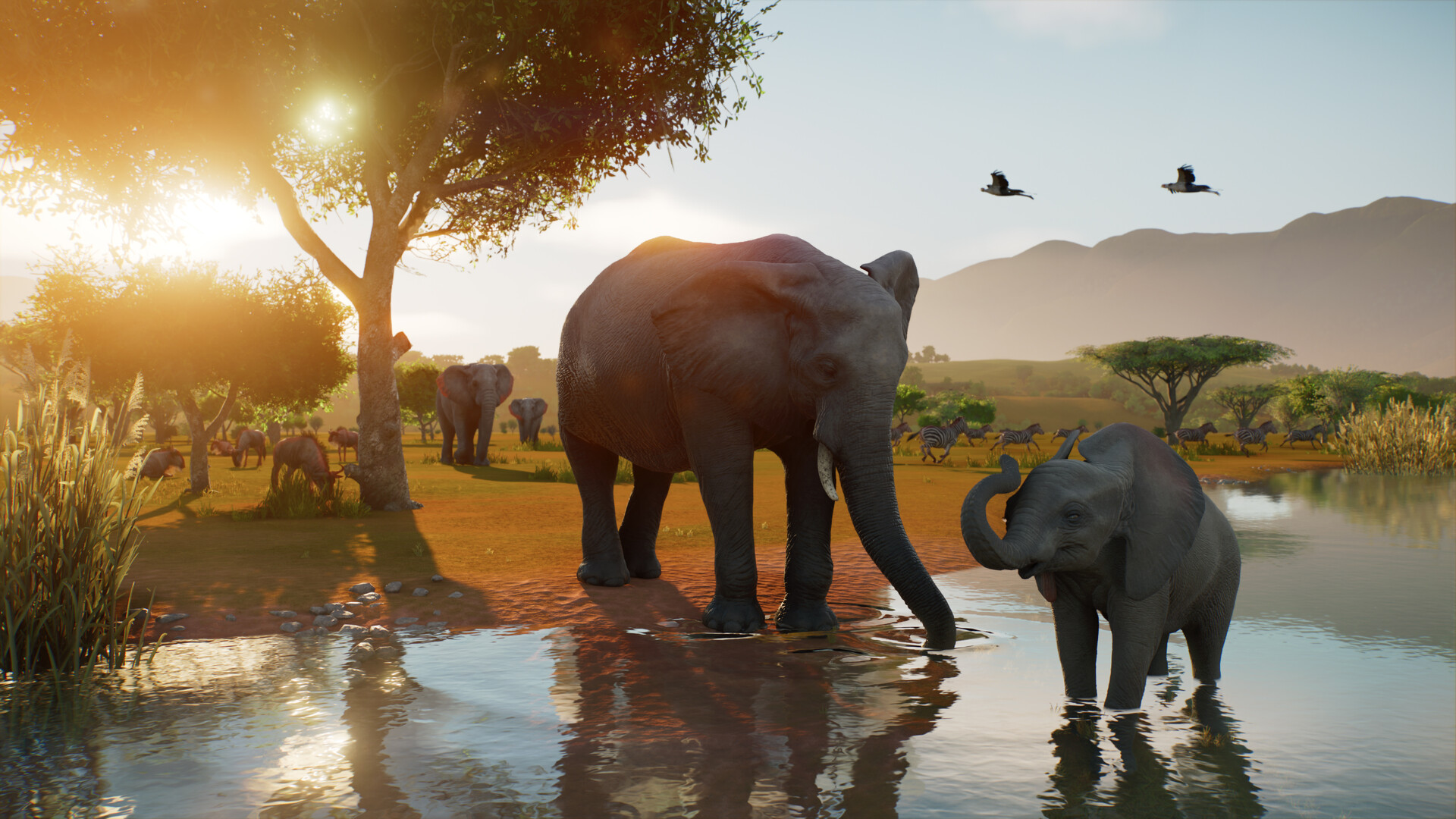 Planet Zoo 2 Images du jeu