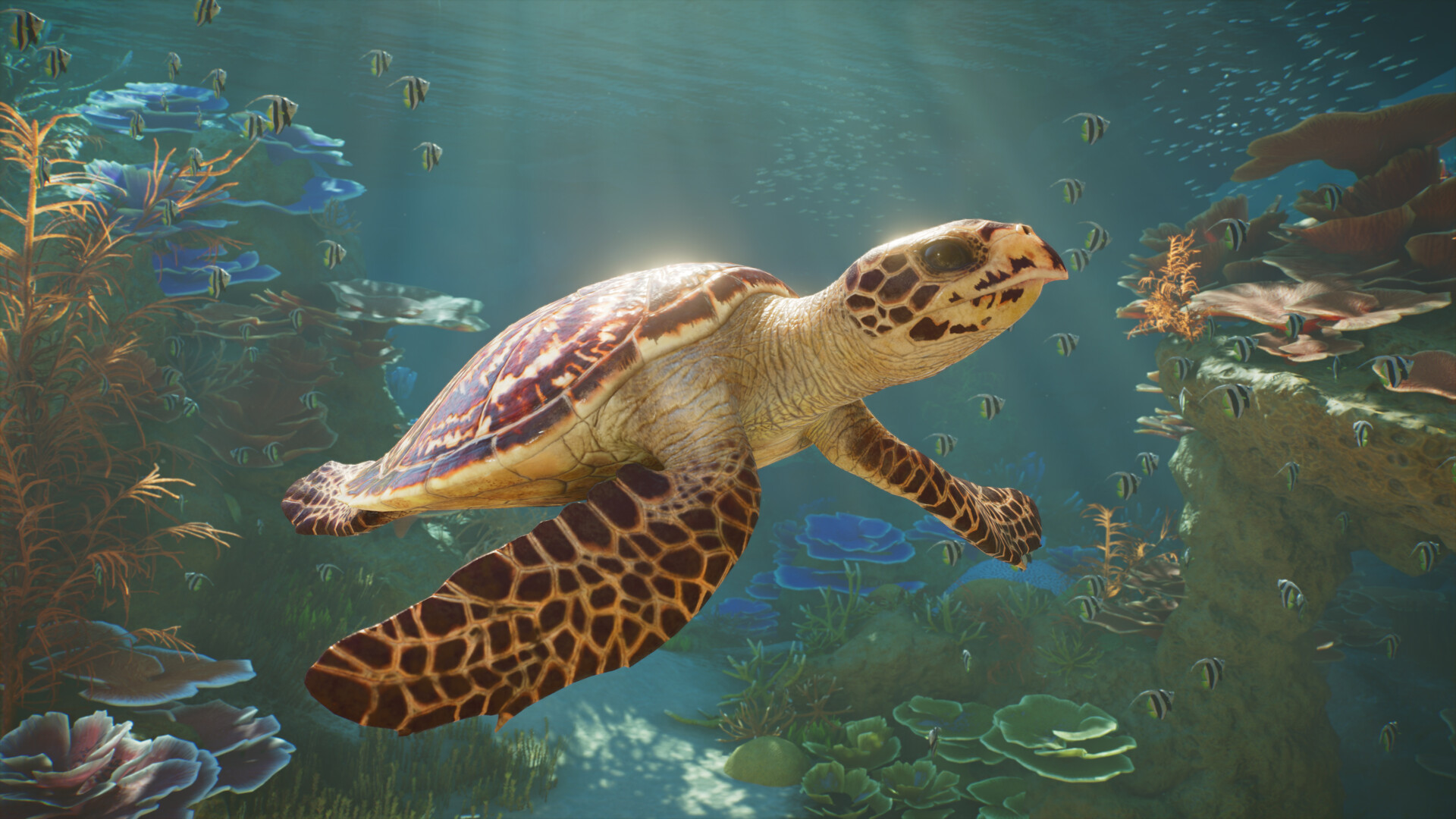 Planet Zoo 2 Spielmedien