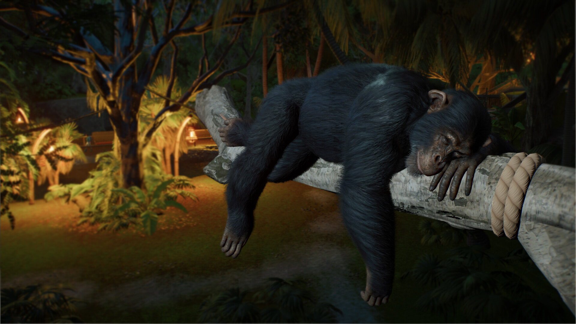 Planet Zoo 2 Images du jeu